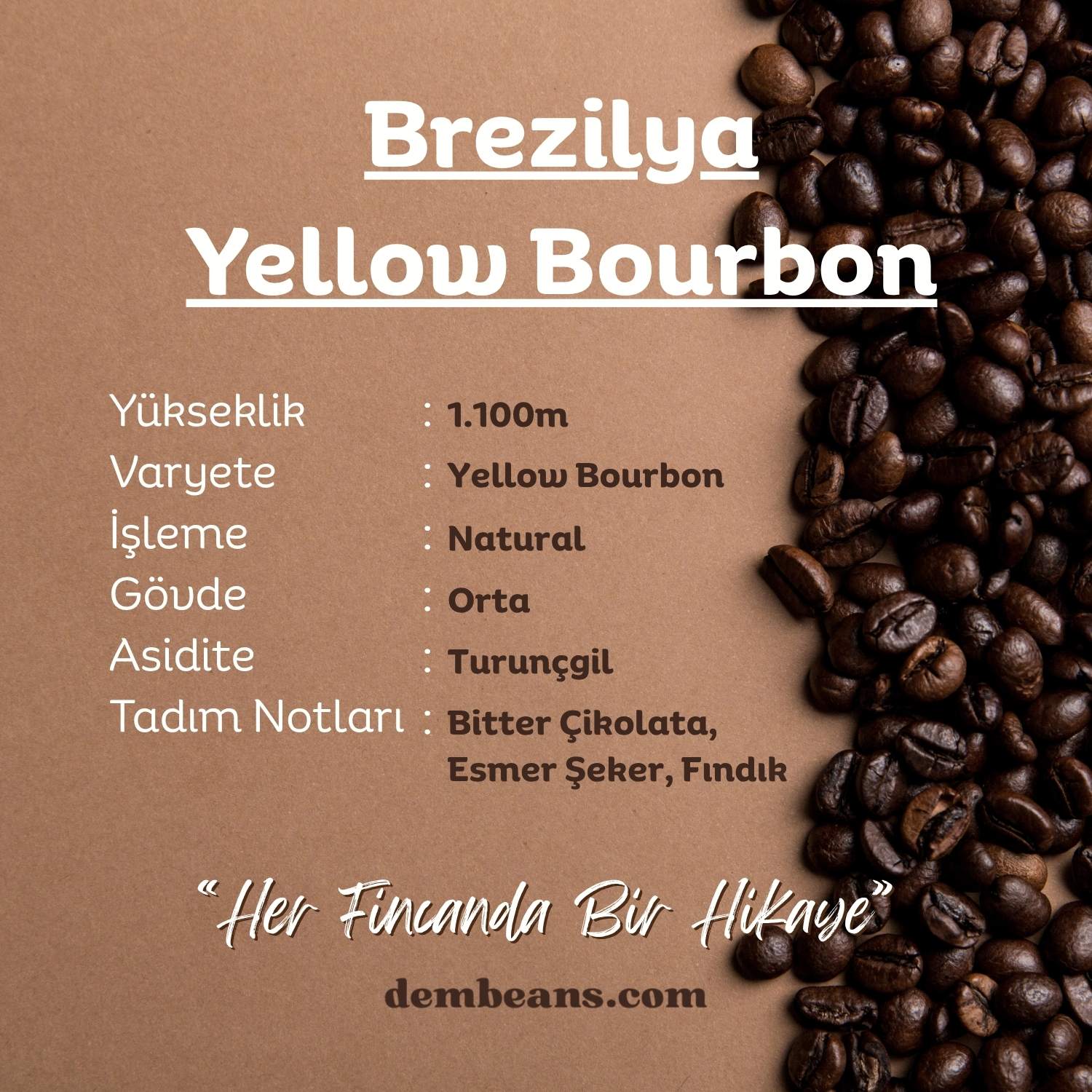 Brezilya Yellow Bourbon Yöresel Kahve Brezilya Yellow Bourbon Yöresel Kahve
