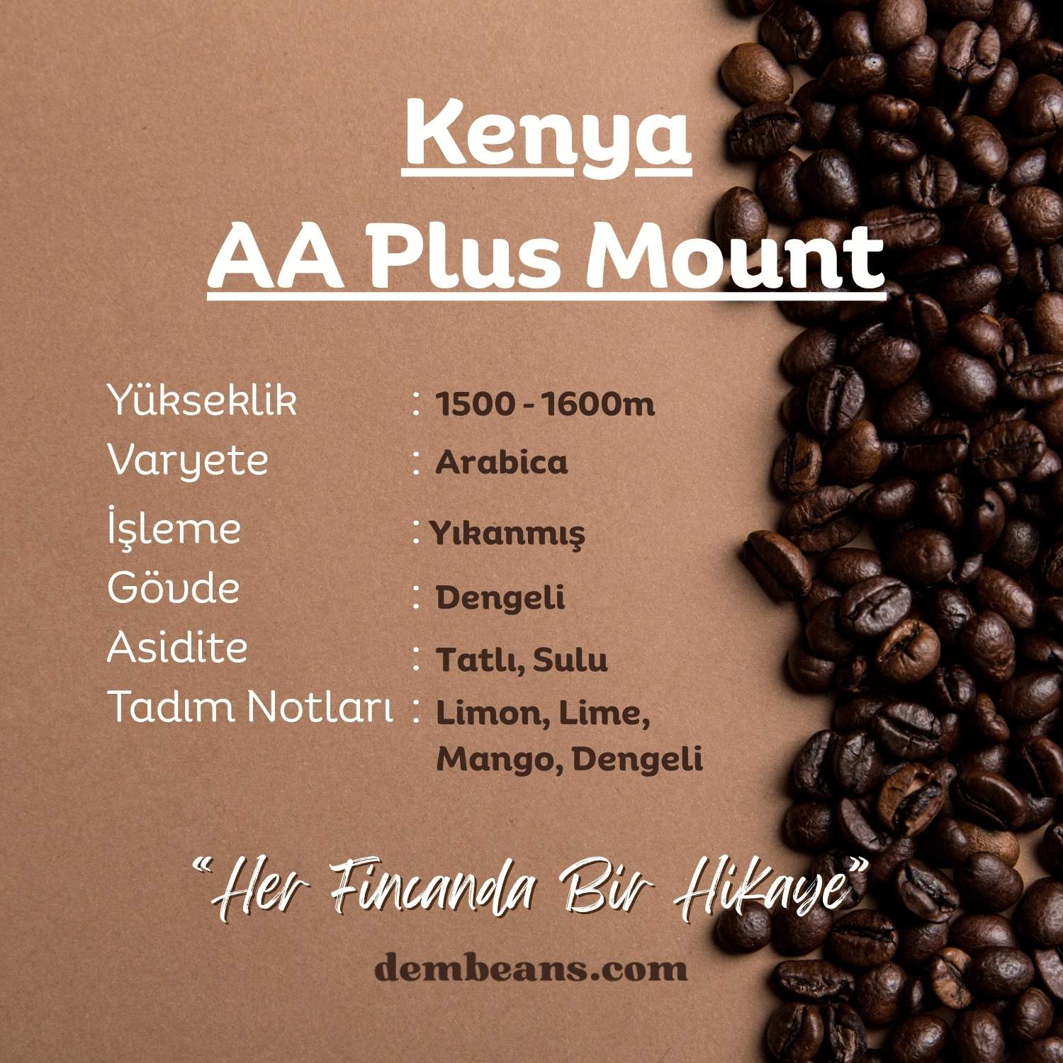 Kenya AA Plus Mount Yöresel Kahve Kenya AA Plus Mount Yöresel Kahve