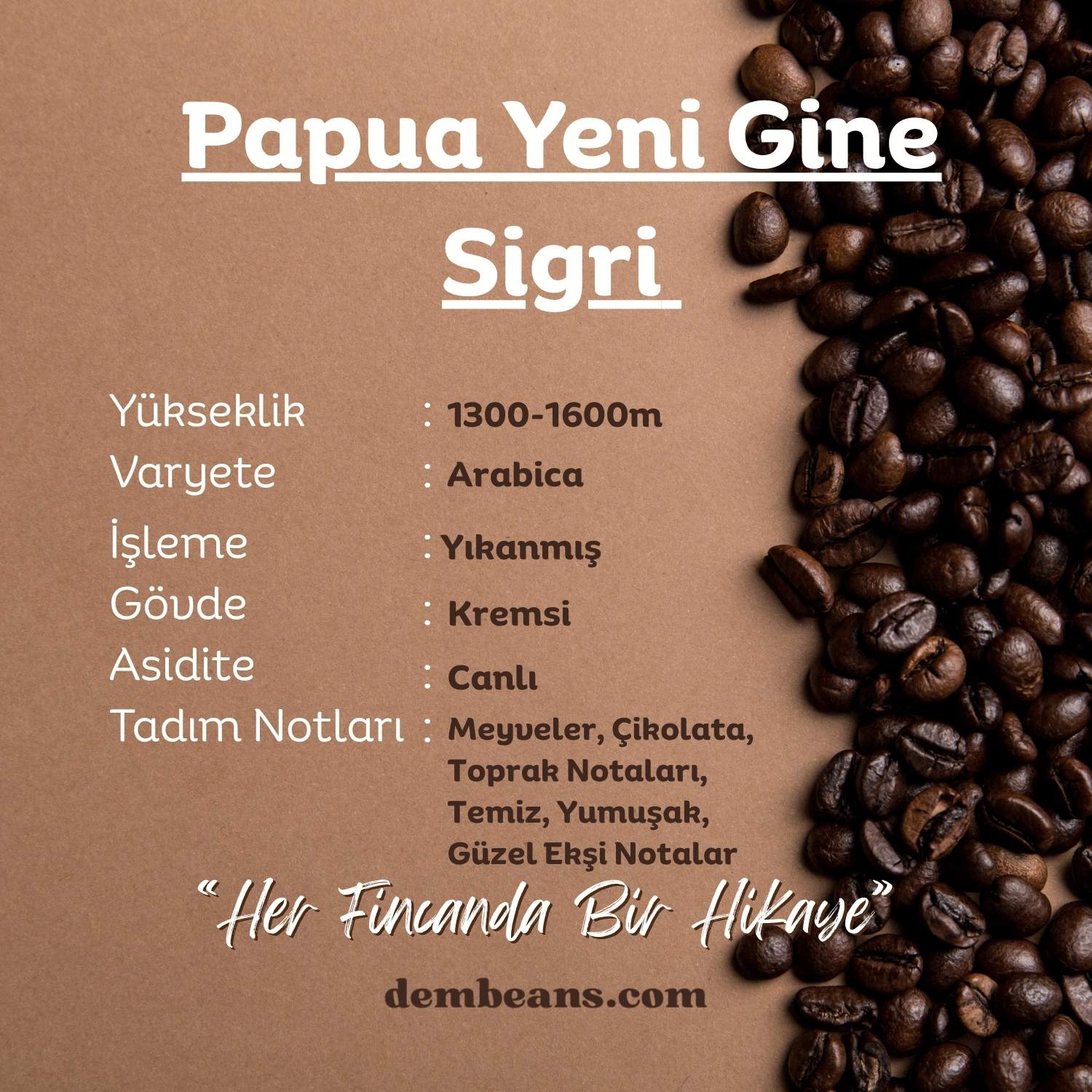 Papua Yeni Gine Sigri Yöresel Kahve Papua Yeni Gine Sigri Yöresel Kahve