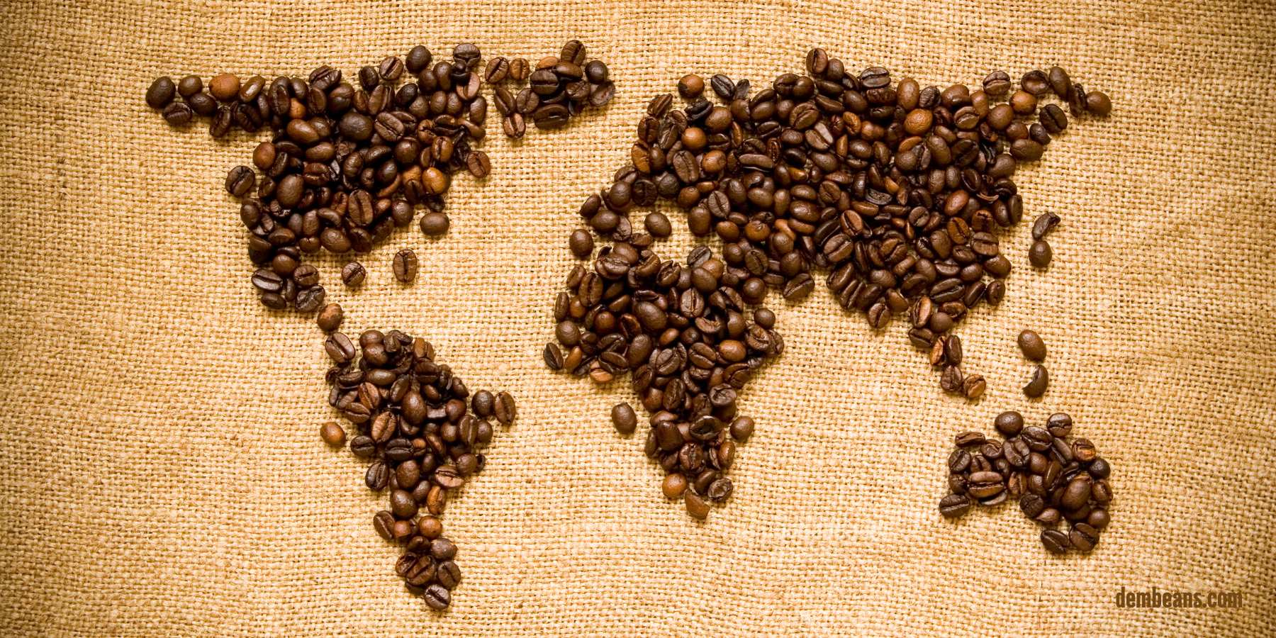 Brezilya ve Kolombiya Kahve Farkı